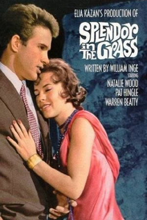 초원의 빛. Splendor in the Grass (웨렌 비티, 나탈리 우드) 앨범 표지